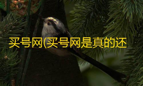 抖音发卡二维码买号网(买号网是真的还是假的)
